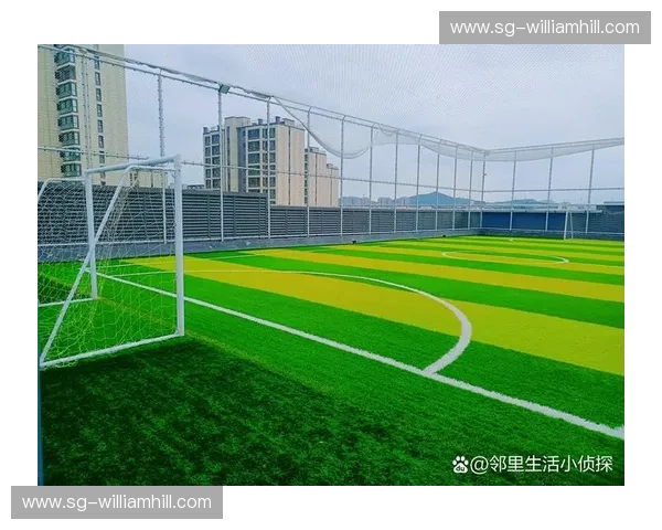 足球八强之路：让梦想在绿茵场上绽放